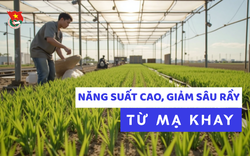 Cùng sống xanh số 141: Chàng kỹ sư bỏ việc về quê làm mạ khay, giúp dân nhẹ việc, thu nhập cao