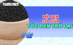 Mè đen có thật sự giúp tóc bạc đen trở lại?