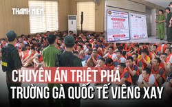 Thành Hóa: Đột kích 'trường gà' xuyên quốc gia