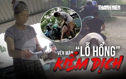 Vén màn 'lỗ hổng' kiểm dịch: Cán bộ thú y bỏ chốt, thương lái tự đóng dấu