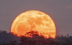 Xôn xao mặt trăng đỏ như máu ở Việt Nam dù không phải nguyệt thực: Vì sao?