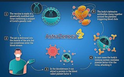 Vắc xin Covid-19 AstraZeneca có thể gây máu đông: Bộ Y tế nói 'không nên lo lắng'