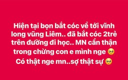 Xác minh thông tin '2 học sinh ở Vĩnh Long bị bắt cóc'