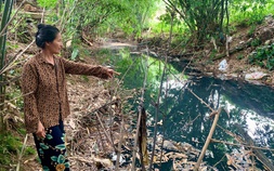 Suối Phúc Tân bị 'bức tử', hàng trăm hộ dân ở Thái Nguyên kêu cứu