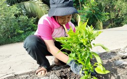 Những 'thiên thần nhỏ' gieo mầm yêu thương