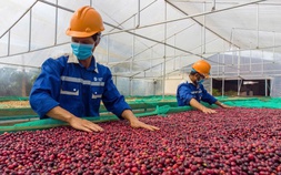 Giữa thuế đối ứng, đơn hàng xuất khẩu tăng trở lại