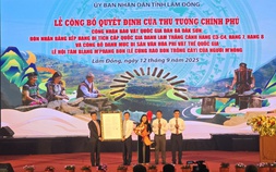 Đàn đá Đắk Sơn ở Lâm Đồng được công nhận là bảo vật quốc gia