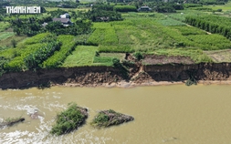 Bất an bờ sông Trà Khúc sạt lở