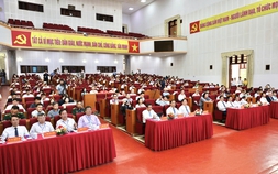 Định danh giá trị sâm Việt: Giữa 'loạn' thị trường, tìm hướng đi cho sâm Lai Châu