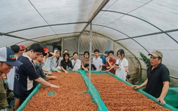 Làm du lịch từ những điều khác biệt: Kể chuyện Khe Sanh bằng cà phê