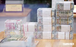 Giá USD hôm nay 19.7.2026: Tăng cùng chiều euro, bảng Anh