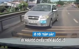 Xe tập lái chạy ngược chiều, tài xế bị CSGT phạt 19 triệu đồng