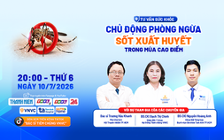 Tư vấn sức khỏe: Sốt xuất huyết ‘vào mùa’, phòng ngừa thế nào?