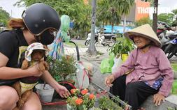 82 tuổi, cụ bà mỗi ngày đi xe buýt để bán cây cảnh: 'Biết ơn vô cùng'
