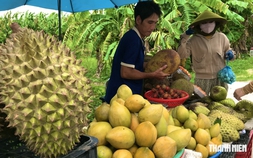 Buôn bán kiểu miền Tây: Hàng chẳng cần trông, một chục có khi tới 16