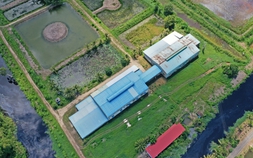 Thanh tra dự án lúa sạch có 3,28 ha đất chuyển đổi trái phép ở Cà Mau