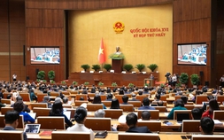 Bộ Chính trị định hướng trọng tâm hoạt động giám sát nhiệm kỳ Quốc hội khóa XVI