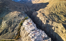 Sức sống mãnh liệt giữa mây ngàn khắc nghiệt Himalaya