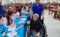 Những hoạt động Xuân tình nguyện ý nghĩa tại Bình Định