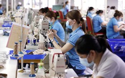 Nền kinh tế đã chạm đáy và đang hồi phục