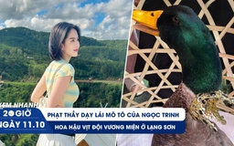 Xem nhanh 20h ngày 11.10: Phạt thầy dạy lái mô tô của Ngọc Trinh | Độc lạ hoa hậu vịt Lạng Sơn