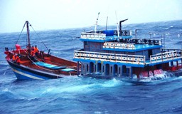 Quảng Nam thông tin về 2 tàu cá bị chìm trên biển cùng gần 100 ngư dân