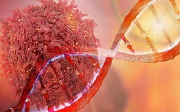 Ung thư có di truyền?