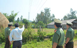 Phối hợp xử lý vi phạm hành chính trong lĩnh vực điện lực ở Bình Định