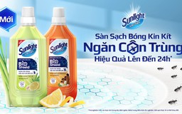 Hội chị em đau đầu tìm cách ngăn côn trùng, giữ nhà cửa sạch sẽ quanh năm