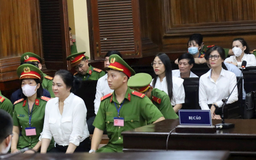 Bà Nguyễn Phương Hằng không kháng cáo án 3 năm tù