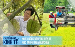 Nhiều nông dân thu tiền tỉ nhờ sầu riêng, lúa gạo trúng mùa được giá