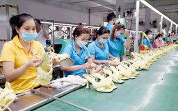 Thu hút FDI thế nào sau đánh thuế tối thiểu toàn cầu?