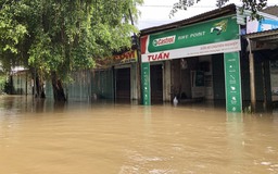 Quảng Ngãi: Hàng chục ngôi nhà bị ngập sâu trong nước