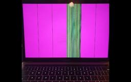 Màn hình MacBook Pro gặp sự cố đường dọc màu tím