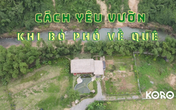 Cùng sống xanh số 58: Ca sĩ Thái Thùy Linh chia sẻ giải pháp nuôi dưỡng tình yêu vườn khi bỏ phố về nông thôn