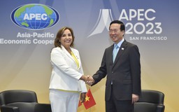 Chủ tịch nước Võ Văn Thưởng gặp Tổng thống Peru nhân Hội nghị cấp cao APEC 2023