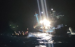 14 ngư dân Bình Định bị chìm tàu cá tại vùng biển Phú Quý đã được cứu