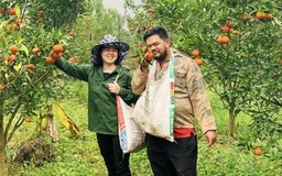 Vợ chồng trẻ lên rừng livestream bán nông sản thu hàng trăm triệu/tháng
