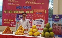 Bắc Giang hỗ trợ tiêu thụ sản phẩm OCOP ở xã nông thôn mới