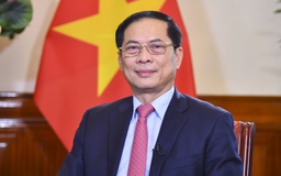 Tập trung 3 trọng tâm ngoại giao, phát huy bản sắc 'ngoại giao cây tre Việt Nam'