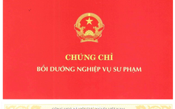 Tiến sĩ giả từng cung cấp bằng thạc sĩ công chứng, chứng chỉ nghiệp vụ sư phạm