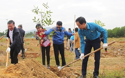 Tết trồng cây, phủ xanh Khu công nghệ cao TP.Đà Nẵng