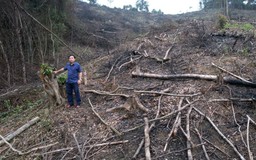 Quảng Bình: 7 ha rừng tự nhiên bị đốt, phá ở giáp ranh 2 huyện miền núi