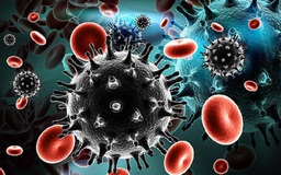 Thêm 1 người trên thế giới được chữa khỏi HIV