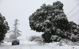 Tuyết rơi hiếm gặp tại California