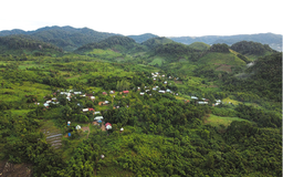 Nỗ lực cấp điện lưới cho 3 làng cuối cùng của tỉnh Bình Định