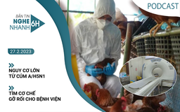Nghe nhanh 6h: Chỉ đạo khẩn về cúm A/H5N1 |