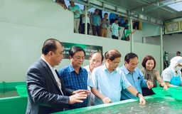 Đoàn công tác của Bộ NN-PTNT thăm Nhà máy sản xuất rong biển DT Group