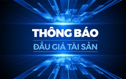 Trà Vinh: Chấn chỉnh hoạt động đấu giá tài sản không đúng quy định