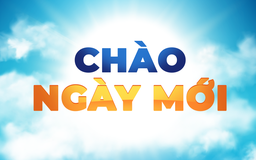Nỗi lo 'trồng - chặt'